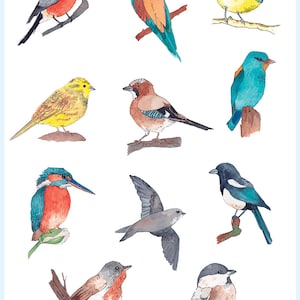 Set tijdelijke tatoeages | Tattoo met kleurrijke vogels | Originele semi-permanente tattoo | Aquarel nep-tatoeage