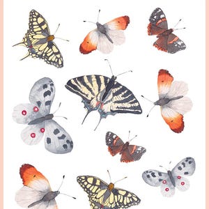 Set of temporary tattoos | Tattoos with butterflies | Original semi permanent tattoo | Aquarelle fake tattoo