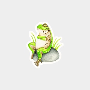 Sticker grenouille - illustration originale. Autocollant unique. Autocollant PVC.