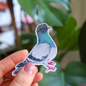 Sticker pigeon - illustration originale. Autocollant unique. Autocollant PVC.