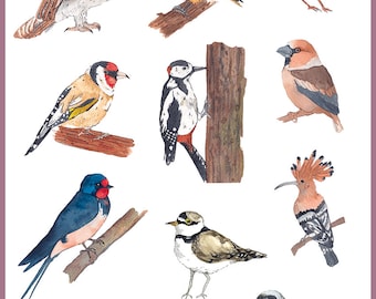 Set of temporary tattoos | Tattoo with birds | Original semi permanent tattoo | Aquarelle fake tattoo