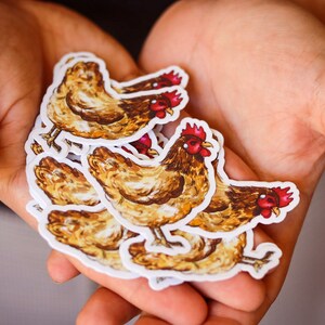 Sticker poule - illustration originale. Autocollant unique. Autocollant PVC.
