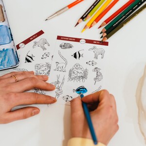Feuille d'autocollants à colorier - Animaux de la forêt tropicale, 12 autocollants en papier mat