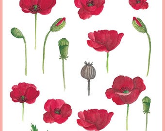 Set of temporary tattoos | Poppies tattoo | Original semi permanent tattoo | Aquarelle fake tattoo