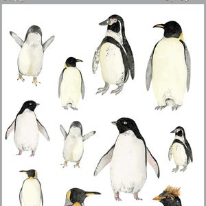 Set of temporary tattoos | Penguins tattoo | Original semi permanent tattoo | Aquarelle fake tattoo