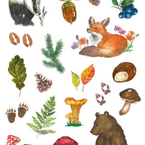 Stickers animaux de la forêt. Illustration originale à l'aquarelle. 22 autocollants/feuille.