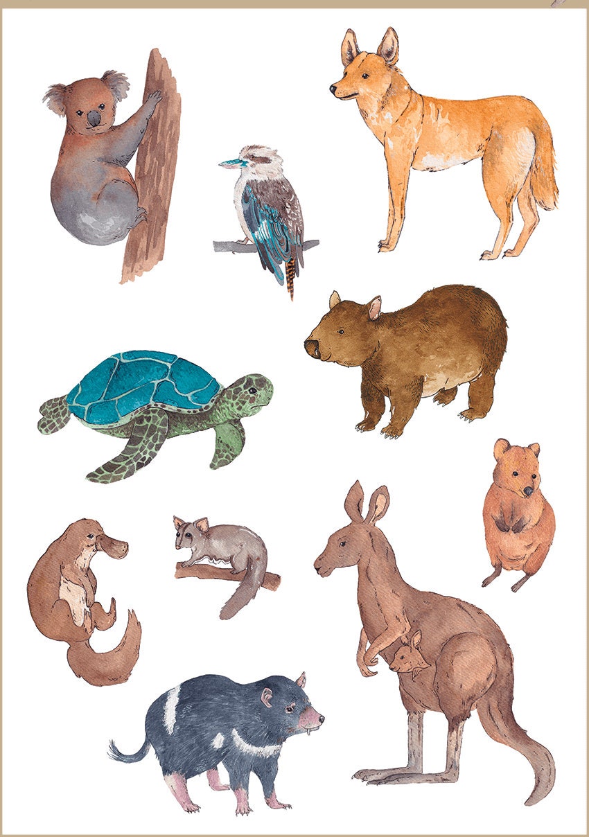 Set of temporary tattoos | Australian animals tattoo | Original semi permanent tattoo | Aquarelle fake tattoo