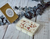 Nectarine Coral - Handmade All Natural Soy Wax Melts - Eco Friendly 3 oz Wax Melts Low Waste