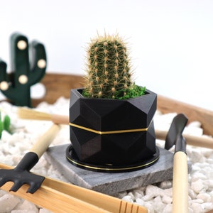 3D Printed Diamond Planter with Live Cacti - Model I