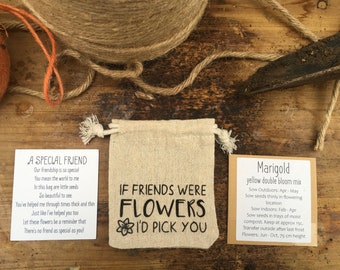 Friendship Gift, Seed Kit, Grow Your Own, Friend, Garden Gift