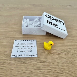 I Love You Gift, Duck Gift, Matchbox Gift, Gift For Boyfriend, Gift For Girlfriend, Valentine's Day Gift