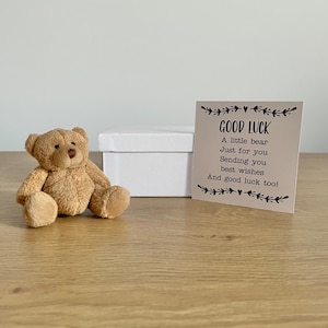 Good Luck Gift, Pocket Bear, Luck Keepsake Gift, Thinking Of You, Good Luck Exams, Leaving Gift, Teddy Bear