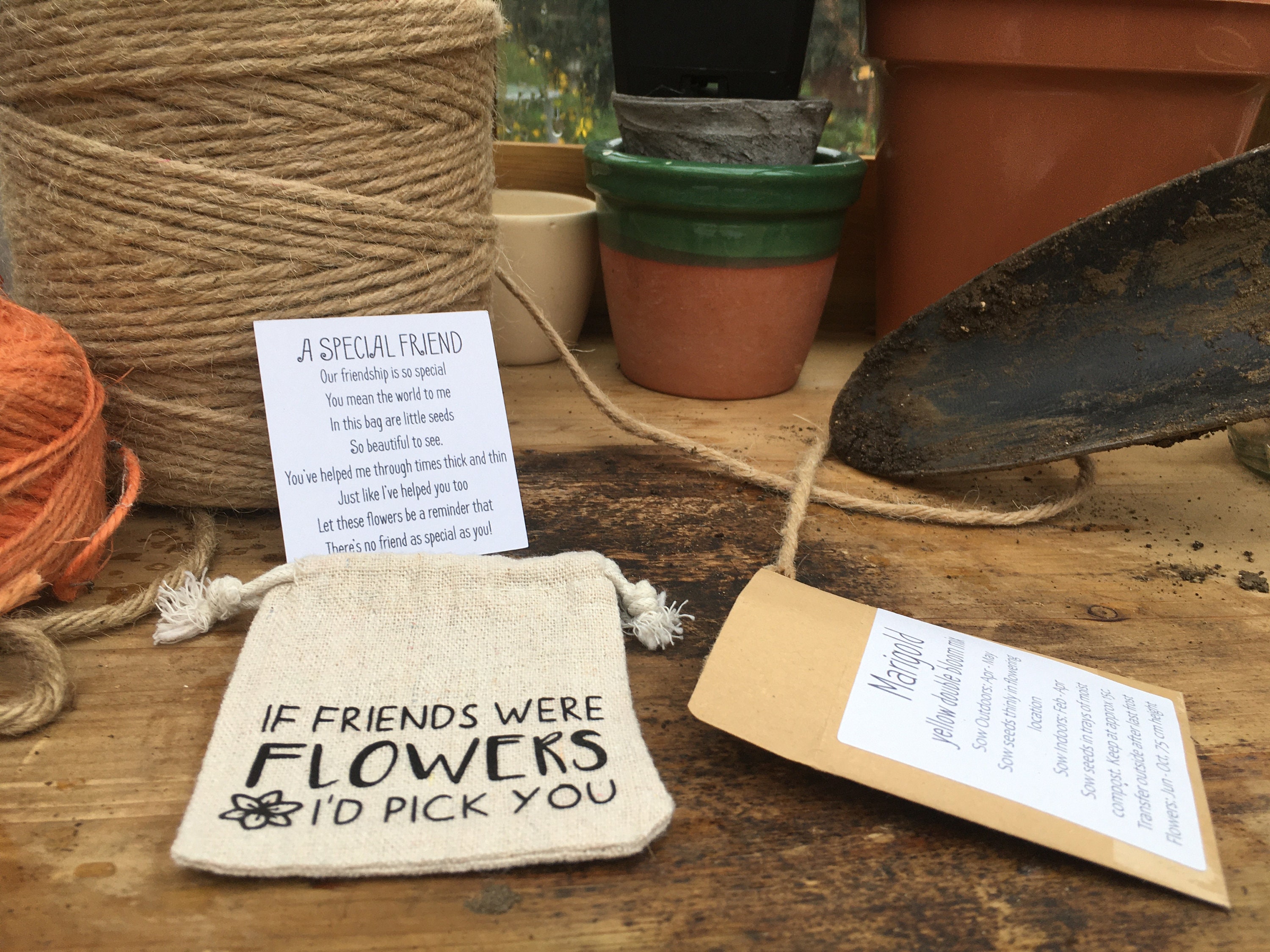 Friendship Gift Seed Kit Grow Your Own Friend Garden Gift Etsy UK