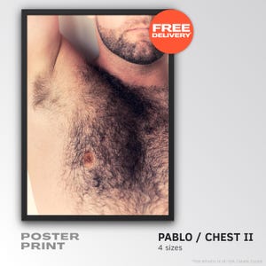 Pablo - Chest II / Poster Prints  / Dark hairy male torso with chest, armpit and beard