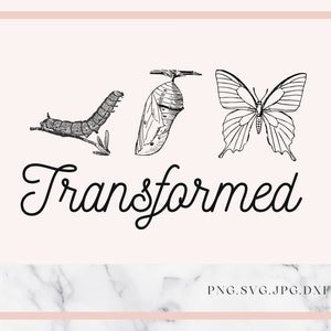 以下が含まれることがあります： 黒と白の線画で描かれたイモムシ、サナギ、蝶のイラスト。画像の下に「Transformed」というテキストが書かれています。