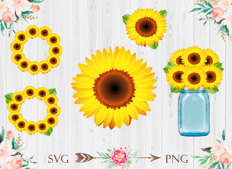 Download Sunflower SVG Bundle Sunflower Clipart Bundle Sunflower ...