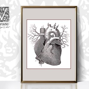 May include: A vintage anatomical illustration of a human heart with detailed labels and veins. The heart is depicted in black and white, with a light gray background.
