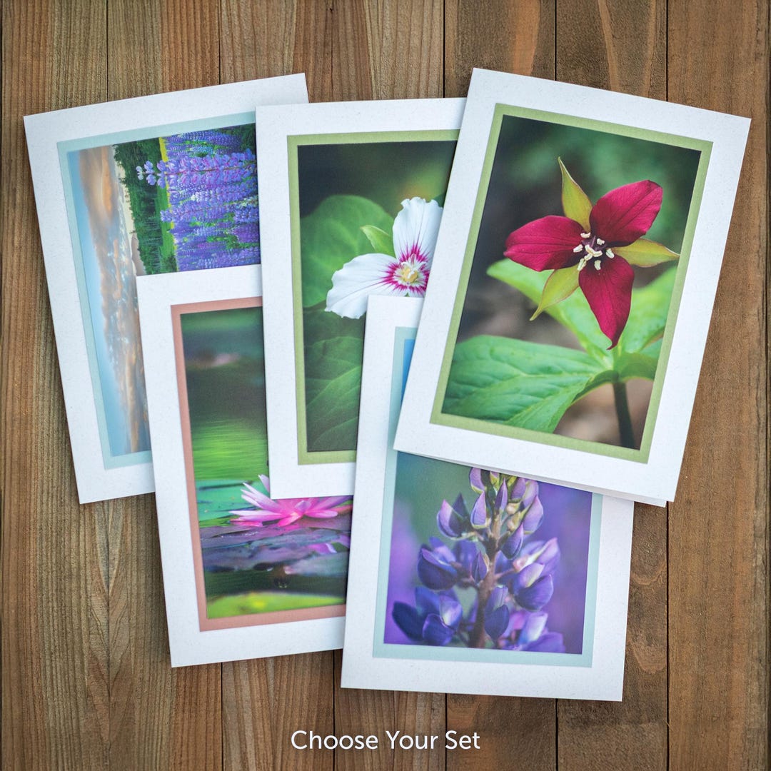 Choose Your Set of Greeting Cards | Wildflower Photo Prints | 5x7 With ...