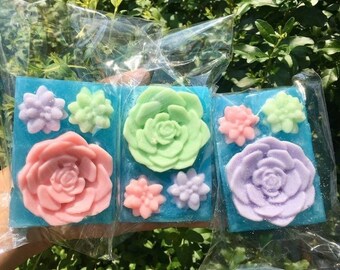 May include: Three bars of soap in clear packaging, each with a blue base and floral designs. The soaps feature large rose and small succulent shapes in pink, green, and purple. The background is a lush green bush.