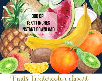 Watercolor exotic fruits clipart digital for instant download. Tropical fruits  element set PNG hand drawn  watercolor DIY 1