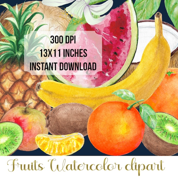 Watercolor exotic fruits clipart digital for instant download. Tropical fruits  element set PNG hand drawn  watercolor DIY 1