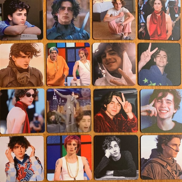 Timothee Chalamet actor magnets