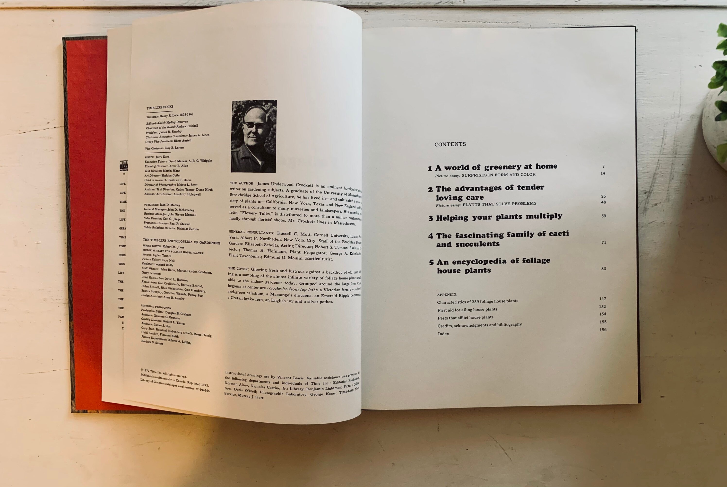 Vintage Foliage House Plants Book Etsy.de