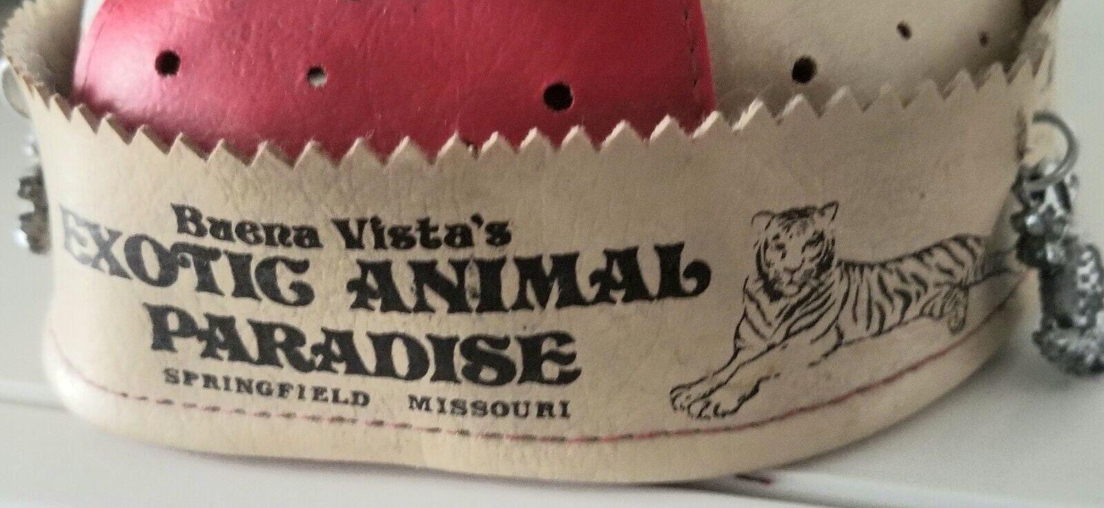 Buena Vistas Exotic Animal Paradise Mo Child Leather Beanie - Etsy Buena Vistas Exotic Animal Paradise Mo Child Leather Beanie - Etsy