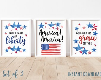 Letreros patrióticos del 4 de julio, juego de 3 (descarga digital)