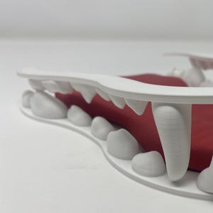 May include: A white plastic model of a mouth with a red tongue inside. The mouth is open and has many sharp teeth.