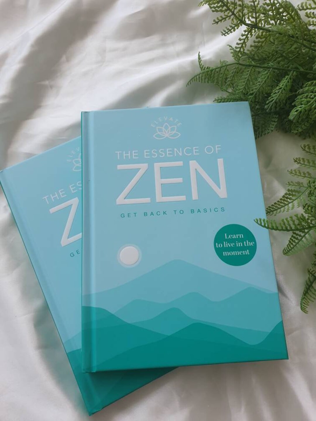 The Essence of Zen Book Etsy