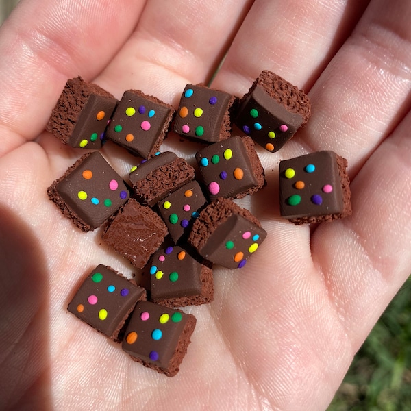 Miniature Brownies with Sprinkles for Dollhouse Display Bakery Chocolate Rainbow Lunch Dessert