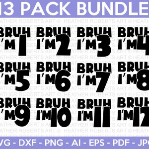 Bundle SVG anniversaire Bruh, Bruh Boys anniversaire fête SVG, anniversaire garçon, fête drôle, fichier coupé, téléchargement immédiat