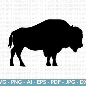 Büffel SVG, Bison SVG, Wildtiere SVG, Wildtiere SVG, Büffel Silhouette, Büffel Clipart, Tier Silhouette, Cut File Cricut, Silhouette
