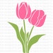see more listings in the Plants & Flowers section
