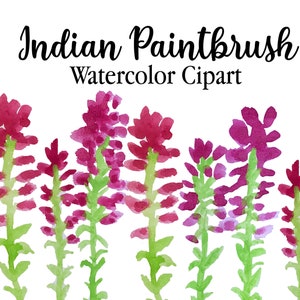 Indian Paintbrush Watercolor Clipart, Castilleja Indivisa, Prairie Flower, Hand Painted, Texas Wildflowers, Instant Download