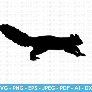 Squirrel Svg, Baby Squirrel Svg, Cute Squirrel Svg, Forest Animals Svg, Squirrel Silhouette, Animal Lover Svg, Cut File Cricut, Silhouette