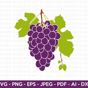 Druif SVG, fruit SVG, wijn SVG, Berry Fruit SVG, paars fruit, druiven clipart, Cricut Cut-bestanden