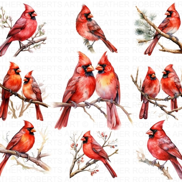 Watercolor Red Cardinal Clipart , Memorial, Cardinal Clipart, Remembrance PNG,Digital Paper Clipart,Watercolor Illustration,Instant Download