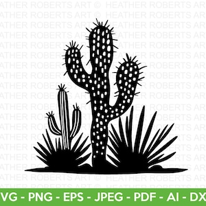 Cactus SVG, Suculento, Planta, Verano Svg, Cactus Clip Art, Cactus, Cactus Print, SVG, Cortar Archivo para Cricut, Silueta