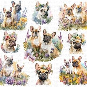 Aquarell Französische Bulldogge Clipart, Blumenkrone PNG, Süße Bulldogge Clip Art, Kartenherstellung Clipart, Digital Papier Clipart, Sofort Download