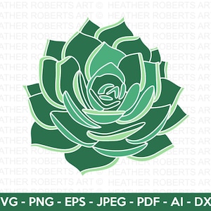 SVG suculento, planta, verano svg, clip art suculento, planta de interior svg, planta de cactus svg, jardinería svg, archivo de corte para cricut, silueta