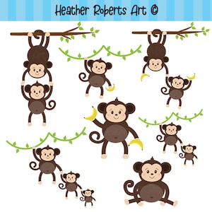 14 PACK singes Clipart ensemble - PNG JPEG mignons singes, singe, bébé, safari, jungle - usage personnel, usage commercial, téléchargement immédiat