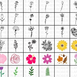 Nature Mega Svg Bundle, Nature Svg, Plants Svg, Leaves Svg, Flowers Svg ...