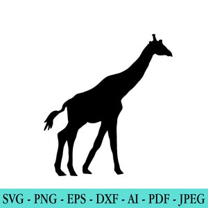 Giraffe SVG, Giraffe Silhouette, Digital clipart, vector graphics, Cut file for Cricut, Silhouette, Cameo