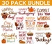 Thanksgiving SVG Bundle, Fall SVG Bundle, Fall Svg, Autumn Svg, Fall Svg Designs, Fall Sign svg, Autumn Bundle Svg, Cricut, Silhouette, PNG 