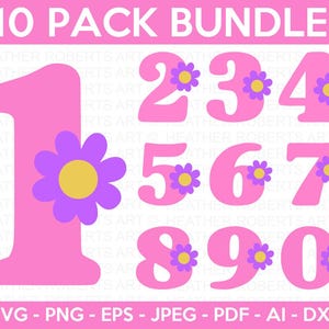 Pacchetto numeri SVG, numeri numerali SVG, monogrammi numerici, conteggio numeri SVG, disegni numerici SVG, file di taglio Cricut, Silhouette