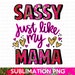 Sassy Just Like My Mama PNG, Mama PNG, Toddler PNG, Sassy png, Onesie png, newborn png, Instant Download, Sublimation File 