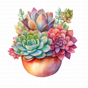 Aquarelle plantes succulentes Clipart, plantes succulentes PNG, Cactus Clip Art, Clipart botanique, mariage Floral Clipart, téléchargement immédiat