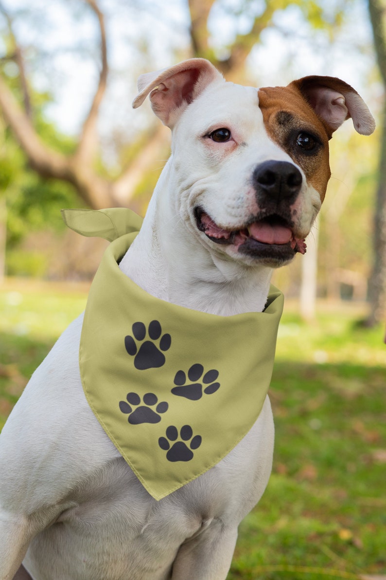 May include: A white and brown dog wearing a yellow bandana with black paw prints. The dog is sitting in a grassy area with trees in the background.